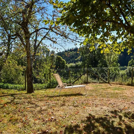 In Auvergne With Roofed Garden And Terrace