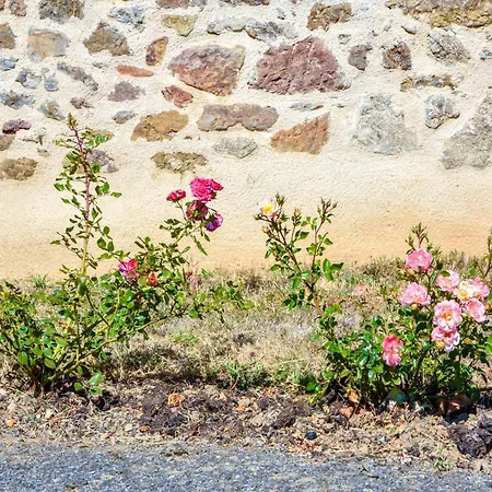 In Auvergne With Roofed Garden And Terrace *