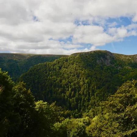 In Auvergne With Roofed Garden And Terrace Hébergement de vacances *