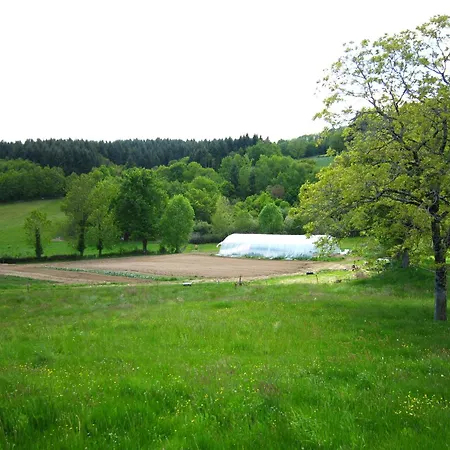 In Auvergne With Roofed Garden And Terrace Calvinet