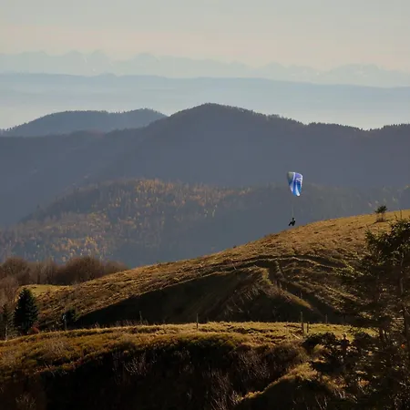 In Auvergne With Roofed Garden And Terrace Σπίτι διακοπών