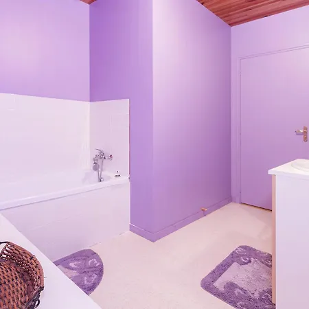 In Auvergne With Roofed Garden And Terrace *