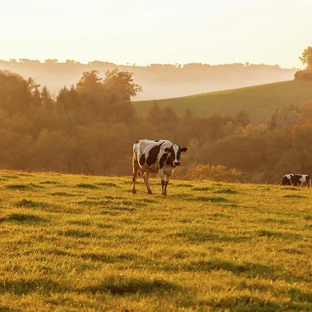 Σπίτι διακοπών In Auvergne With Roofed Garden And Terrace