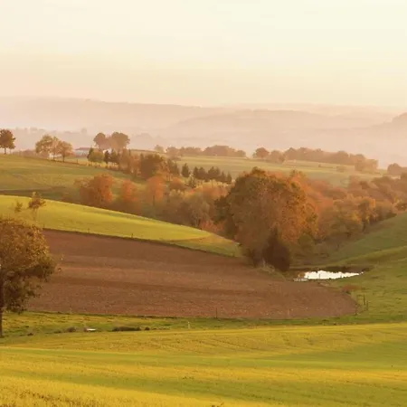 In Auvergne With Roofed Garden And Terrace *