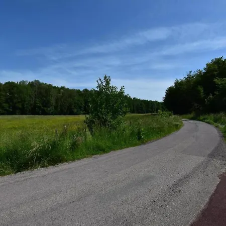 In Auvergne With Roofed Garden And Terrace