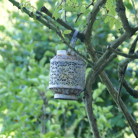 In Auvergne With Roofed Garden And Terrace Σπίτι διακοπών Calvinet