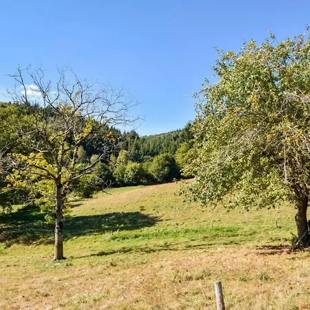 In Auvergne With Roofed Garden And Terrace * Calvinet
